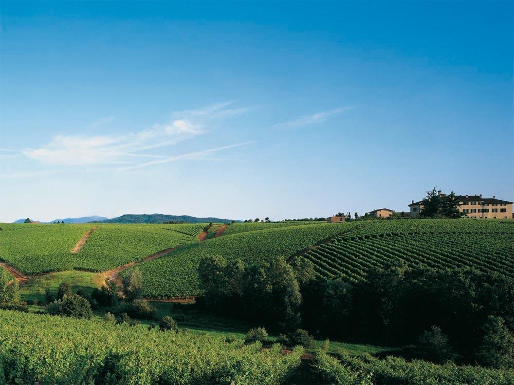 Agriturismo Tenuta La Marchesa Нови-Лигуре Экстерьер фото